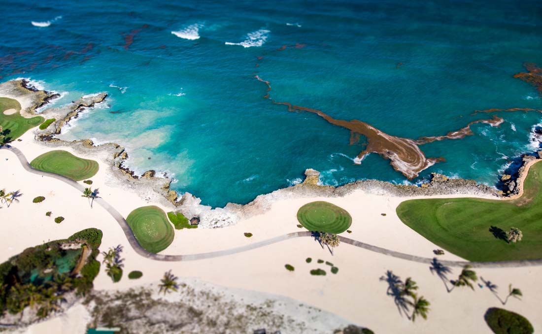 ironman cap cana 70.3 2024 stats