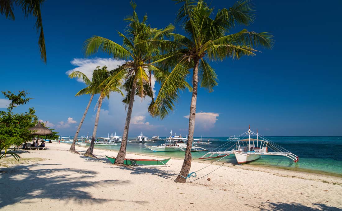 ironmna lapu lapu 70.3 2024 race stats